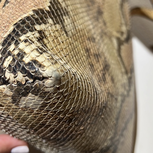 Madewell The Zip-Top Transport Crossbody: Snake Embossed Leather Edition - Picture 6 of 11